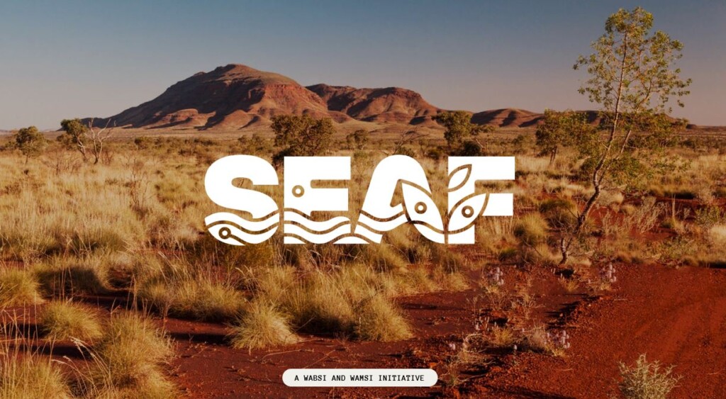 SEAF in action